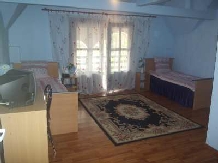Pensiunea Daiadela - accommodation in  Crisana (10)