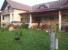 Pensiunea Daiadela - accommodation in  Crisana (11)