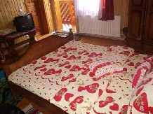 Pensiunea Poiana de Vis - accommodation in  Bucovina (08)