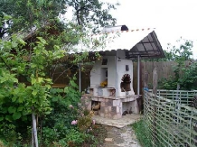 Pensiunea Randunica - alloggio in  Valle di Prahova (04)