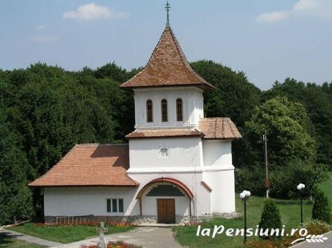 Pensiunea Oviral - accommodation in  Fagaras and nearby, Sambata (Surrounding)