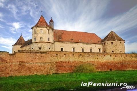 Pensiunea Oviral - accommodation in  Fagaras and nearby, Sambata (Surrounding)