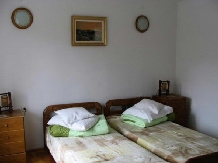 Pensiunea Haiducul - accommodation in  Fagaras and nearby (05)