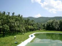 Pensiunea Haiducul - accommodation in  Fagaras and nearby (07)