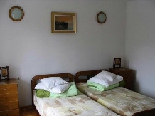 Pensiunea Haiducul - accommodation in  Fagaras and nearby (08)