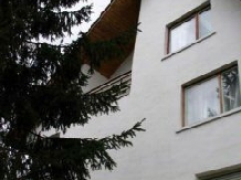 Pensiunea Haiducul - accommodation in  Fagaras and nearby (12)