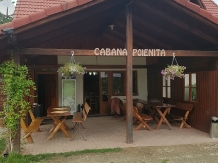 Rural accommodation at  Cabana Poienita