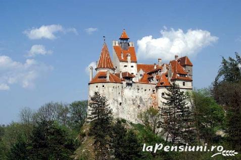 Pensiunea Casa Aldulea - accommodation in  Rucar - Bran, Moeciu (Surrounding)