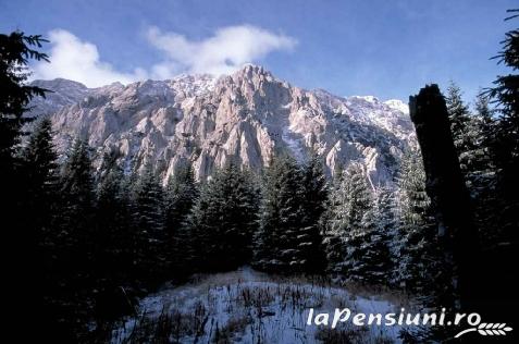 Pensiunea Casa Aldulea - accommodation in  Rucar - Bran, Moeciu (Surrounding)