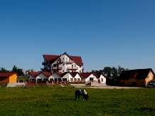 Pensiunea Coroana Reginei - accommodation in  Rucar - Bran, Moeciu, Bran (15)