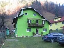 Pensiunea Topirceanu - accommodation in  Transylvania (08)
