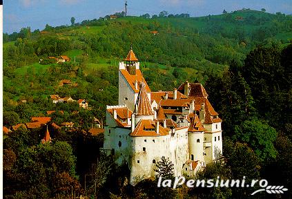 Pensiunea Tolstoi - accommodation in  Rucar - Bran, Moeciu, Bran (Surrounding)