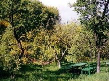Pensiunea Valea Caruntei - accommodation in  Prahova Valley (11)