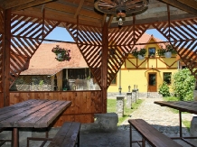 Pensiunea Bendorfeanu - accommodation in  Sibiu Surroundings (02)