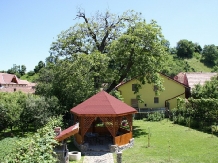 Pensiunea Bendorfeanu - accommodation in  Sibiu Surroundings (08)