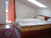 Pensiunea Erlenpark - accommodation in  Transylvania (02)