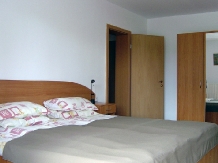 Pensiunea Erlenpark - accommodation in  Transylvania (06)