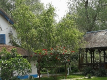 Casa Dintre Salcii - alloggio in  Delta del Danubio (06)