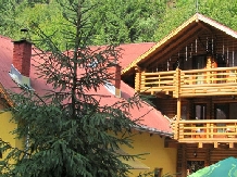 Cabana Bradul - accommodation in  Bistrita (20)