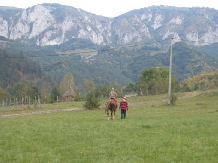 Pensiunea Totu'Bun - accommodation in  Apuseni Mountains, Motilor Country, Arieseni (41)