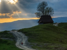 Pensiunea Totu'Bun - accommodation in  Apuseni Mountains, Motilor Country, Arieseni (44)