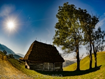 Pensiunea Totu'Bun - accommodation in  Apuseni Mountains, Motilor Country, Arieseni (47)