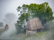 Pensiunea Totu'Bun - accommodation in  Apuseni Mountains, Motilor Country, Arieseni (50)