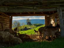 Pensiunea Totu'Bun - accommodation in  Apuseni Mountains, Motilor Country, Arieseni (51)