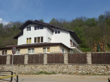 Casa Stefanita - accommodation in  North Oltenia (01)