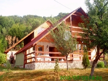 Rural accommodation at Cabana Cuibul Dorului Rural accommodation at Cabana Cuibul Dorului