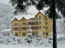 Pensiunea Miruna - accommodation in  Fagaras and nearby, Sambata (38)