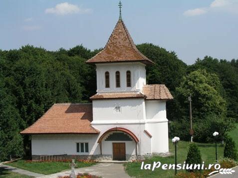 Pensiunea Miruna - accommodation in  Fagaras and nearby, Sambata (Surrounding)