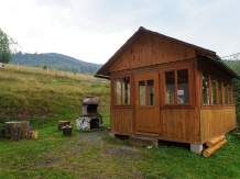 Pensiunea Aries - accommodation in  Apuseni Mountains, Motilor Country, Arieseni (02)