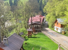 Pensiunea Danciu - accommodation in  Apuseni Mountains, Motilor Country, Arieseni (03)