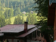 Pensiunea Danciu - accommodation in  Apuseni Mountains, Motilor Country, Arieseni (07)