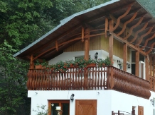 Pensiunea Danciu - accommodation in  Apuseni Mountains, Motilor Country, Arieseni (08)