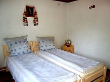 Pensiunea de sub munte " Dobra" - accommodation in  Apuseni Mountains, Motilor Country, Arieseni (08)