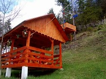 Pensiunea de sub munte " Dobra" - alloggio in  Apuseni, Tara Motilor, Arieseni (29)