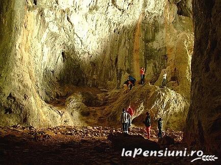 Pensiunea de sub munte " Dobra" - accommodation in  Apuseni Mountains, Motilor Country, Arieseni (Surrounding)