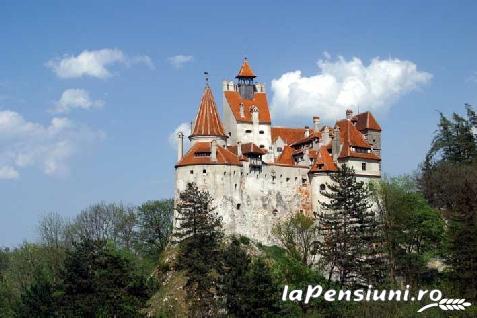 Pensiunea Om Bun - accommodation in  Rucar - Bran, Moeciu (Surrounding)