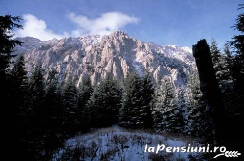 Pensiunea Om Bun - cazare Rucar - Bran, Moeciu (Activitati si imprejurimi) Pensiunea Om Bun - cazare Rucar - Bran, Moeciu (Activitati si imprejurimi)