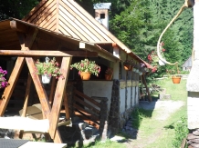 Pensiunea Poarta Ariesului - accommodation in  Apuseni Mountains, Motilor Country, Arieseni (21)