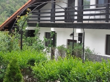 Pensiunea Casa Natura - accommodation in  Cernei Valley, Herculane (18)