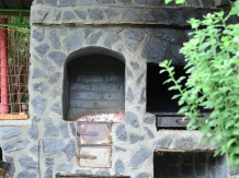 Pensiunea Casa Natura - accommodation in  Cernei Valley, Herculane (44)