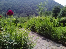 Pensiunea Casa Natura - accommodation in  Cernei Valley, Herculane (54)