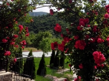 Pensiunea Casa Natura - accommodation in  Cernei Valley, Herculane (55)