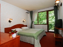 Pensiunea Select - accommodation in  Cernei Valley, Herculane (12)