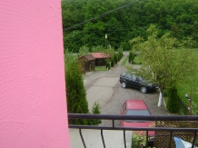 Pensiune Vidra - accommodation in  Baile Felix (07)