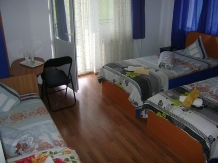 Pensiune Vidra - accommodation in  Baile Felix (21)
