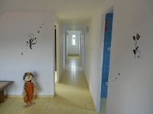 Pensiunea La Bibicu - accommodation in  Transylvania (08)
